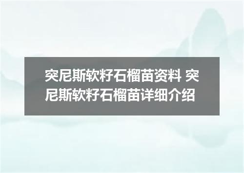 突尼斯软籽石榴苗资料 突尼斯软籽石榴苗详细介绍
