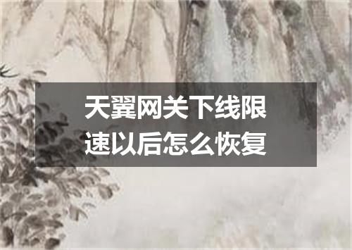 天翼网关下线限速以后怎么恢复
