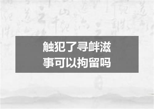 触犯了寻衅滋事可以拘留吗