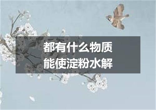 都有什么物质能使淀粉水解