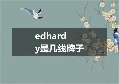 edhardy是几线牌子