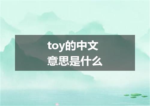 toy的中文意思是什么