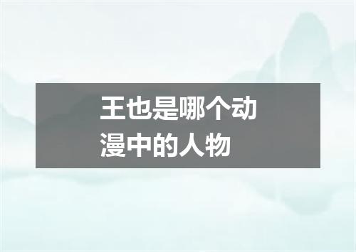 王也是哪个动漫中的人物