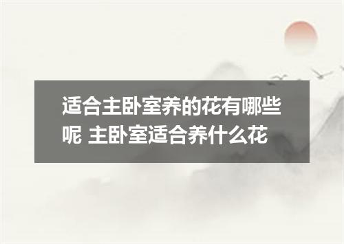 适合主卧室养的花有哪些呢 主卧室适合养什么花