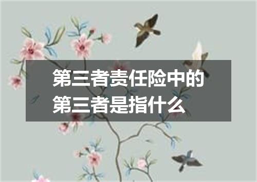 第三者责任险中的第三者是指什么