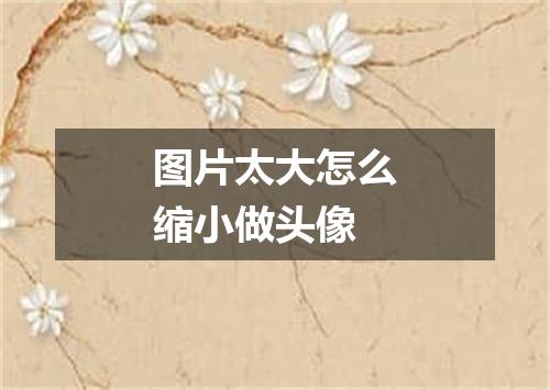 图片太大怎么缩小做头像