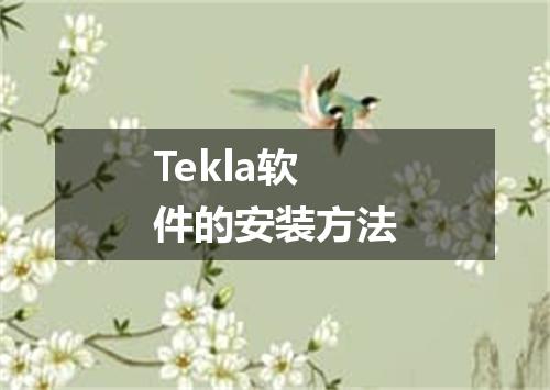 Tekla软件的安装方法