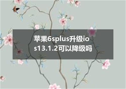 苹果6splus升级ios13.1.2可以降级吗
