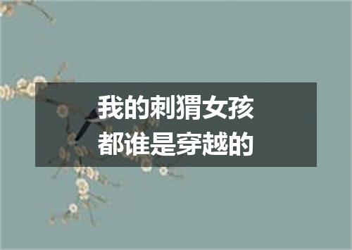 我的刺猬女孩都谁是穿越的