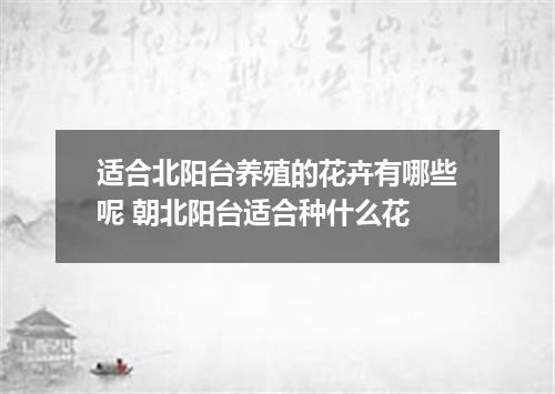 适合北阳台养殖的花卉有哪些呢 朝北阳台适合种什么花