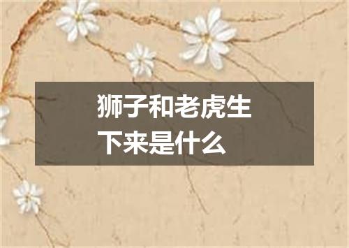 狮子和老虎生下来是什么