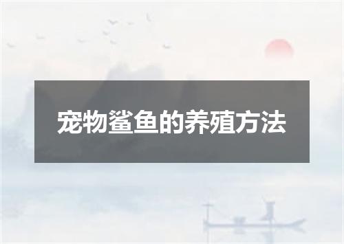 宠物鲨鱼的养殖方法