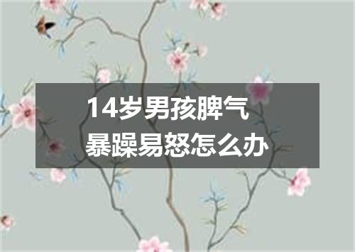 14岁男孩脾气暴躁易怒怎么办
