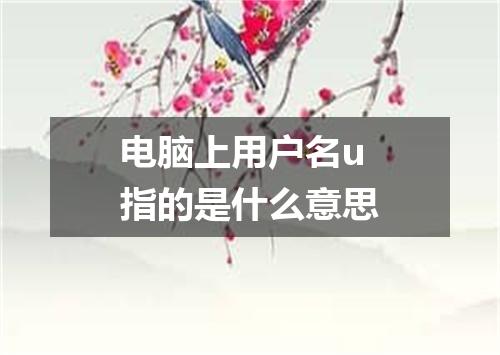 电脑上用户名u指的是什么意思
