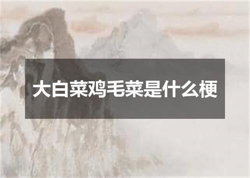 大白菜鸡毛菜是什么梗