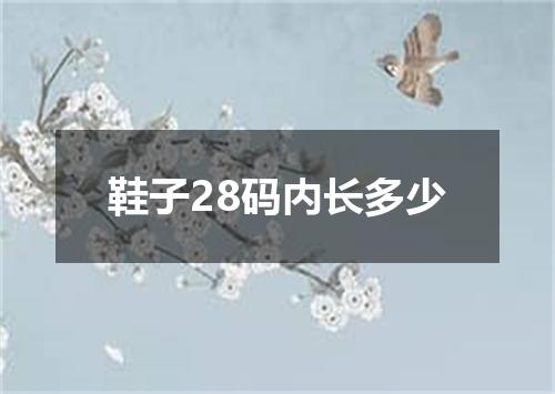 鞋子28码内长多少