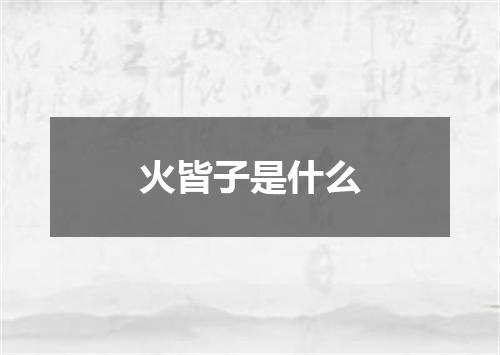 火皆子是什么