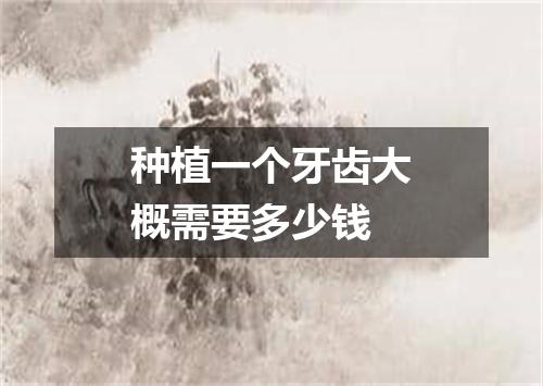 种植一个牙齿大概需要多少钱