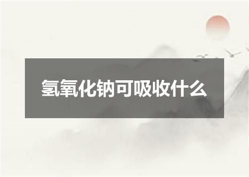 氢氧化钠可吸收什么