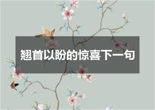 翘首以盼的惊喜下一句