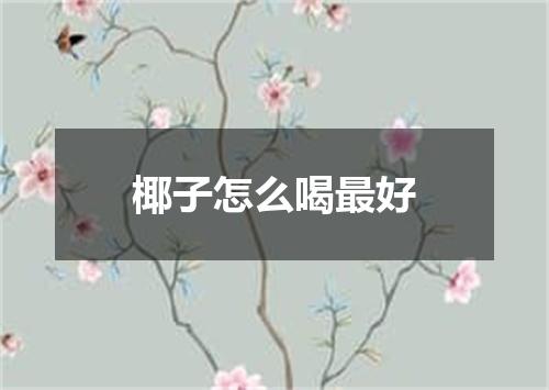 椰子怎么喝最好