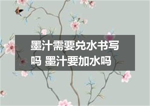 墨汁需要兑水书写吗 墨汁要加水吗