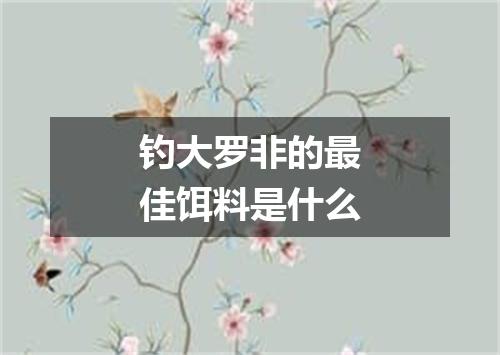 钓大罗非的最佳饵料是什么