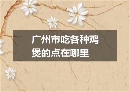 广州市吃各种鸡煲的点在哪里