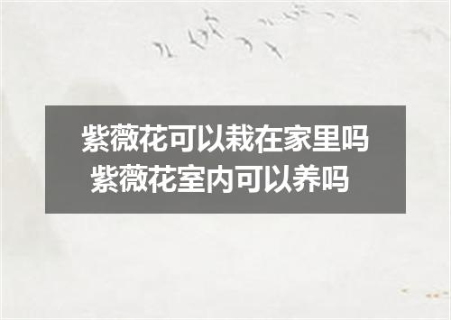 紫薇花可以栽在家里吗 紫薇花室内可以养吗