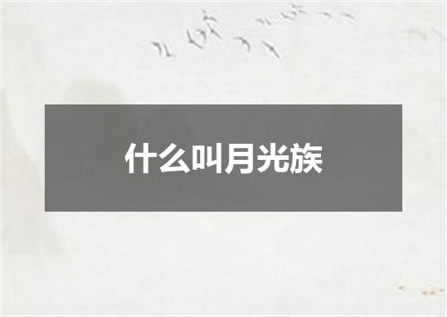 什么叫月光族