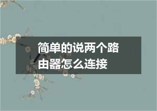 简单的说两个路由器怎么连接