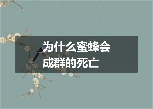 为什么蜜蜂会成群的死亡