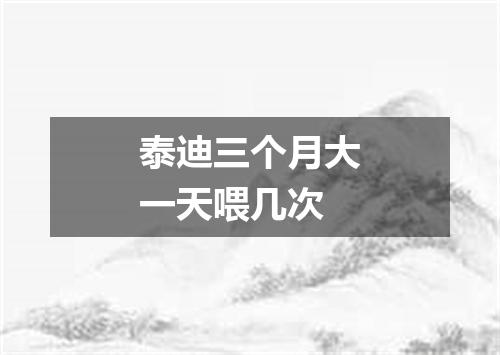 泰迪三个月大一天喂几次