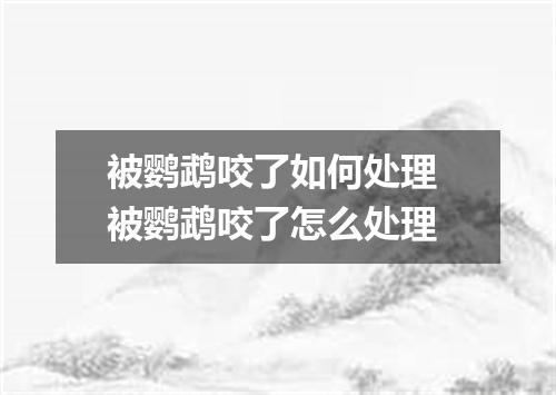 被鹦鹉咬了如何处理 被鹦鹉咬了怎么处理