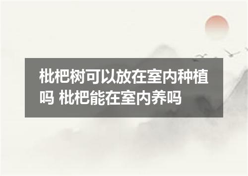 枇杷树可以放在室内种植吗 枇杷能在室内养吗