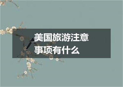 美国旅游注意事项有什么