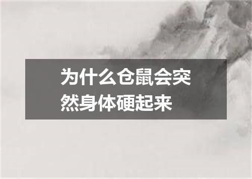 为什么仓鼠会突然身体硬起来