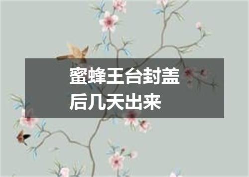 蜜蜂王台封盖后几天出来