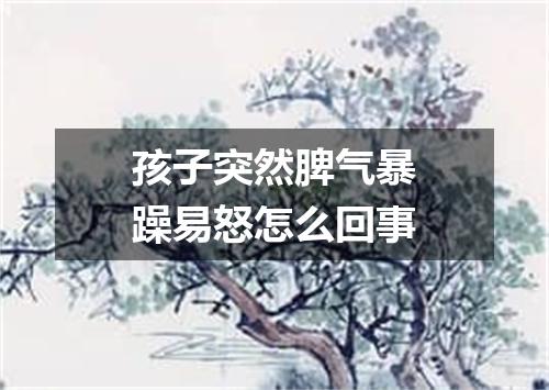 孩子突然脾气暴躁易怒怎么回事