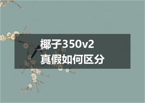 椰子350v2真假如何区分