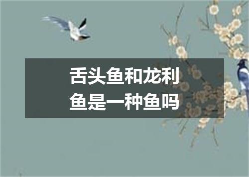 舌头鱼和龙利鱼是一种鱼吗