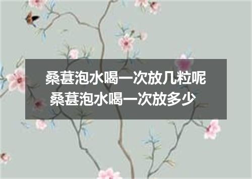 桑葚泡水喝一次放几粒呢 桑葚泡水喝一次放多少