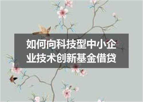 如何向科技型中小企业技术创新基金借贷