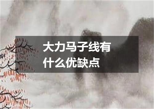大力马子线有什么优缺点