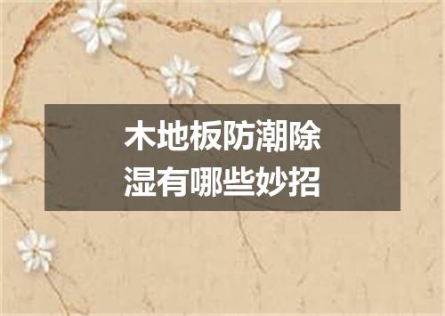 木地板防潮除湿有哪些妙招