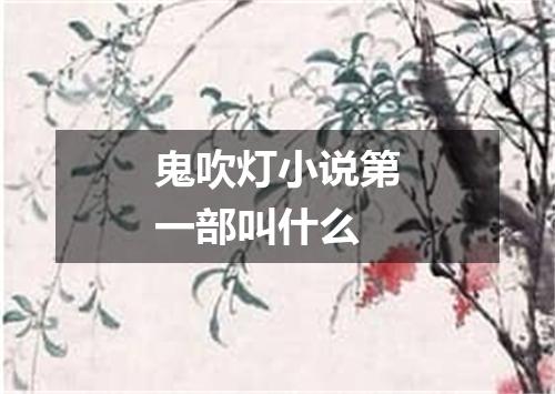 鬼吹灯小说第一部叫什么