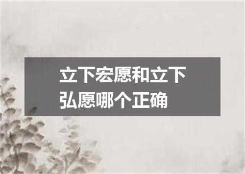 立下宏愿和立下弘愿哪个正确