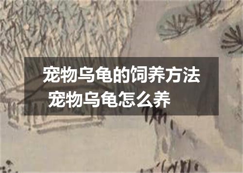 宠物乌龟的饲养方法 宠物乌龟怎么养