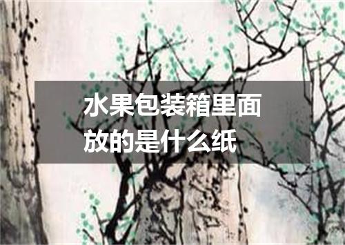 水果包装箱里面放的是什么纸