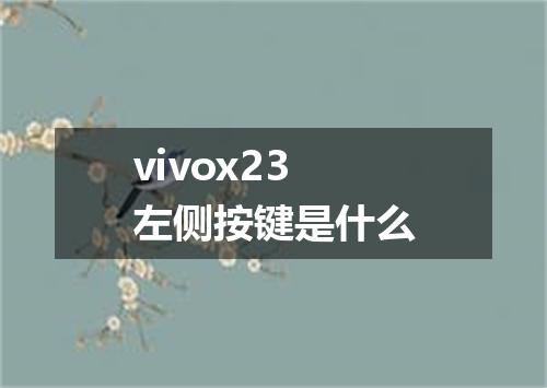 vivox23左侧按键是什么